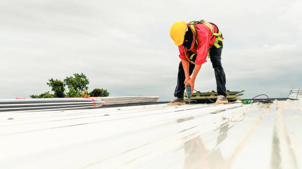 Best Roof Maintenance and Cleaning  in Ridgecrest, FL